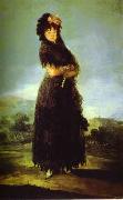 Francisco Jose de Goya Portrait of Mariana Waldstein. Germany oil painting artist